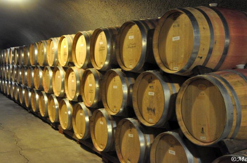 Castello Di Amorosa: ряды дубовых бочек в подземном погребе